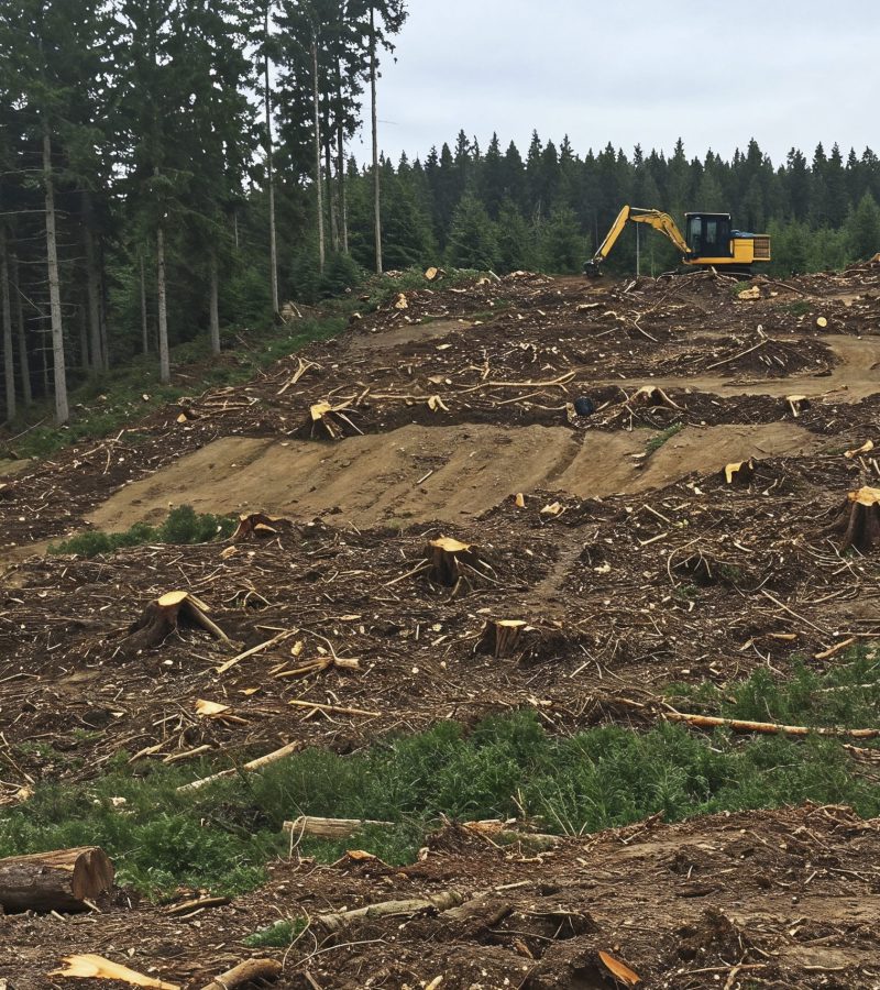deforestation-clear-cut-landscape-scaled.jpg